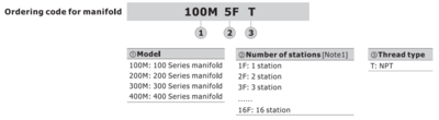 200M14FT AIRTAC MANIFOLD, 4A2 SERIES 14 STATIONS